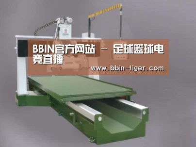 产品名称十