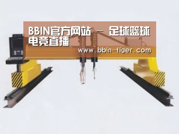 产品名称十九