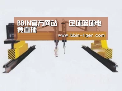 产品名称十九