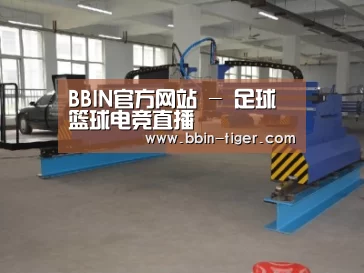产品名称十九