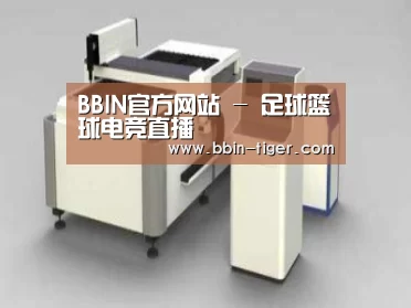 产品名称十五