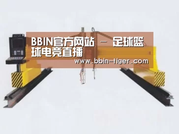 产品名称十七