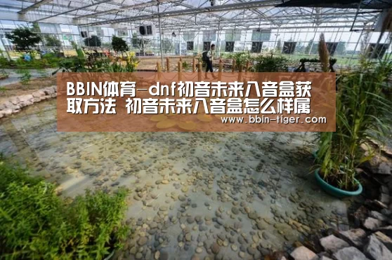 BBIN体育-dnf初音未来八音盒获取方法 初音未来八音盒怎么样属性介绍(图3) BBIN足球