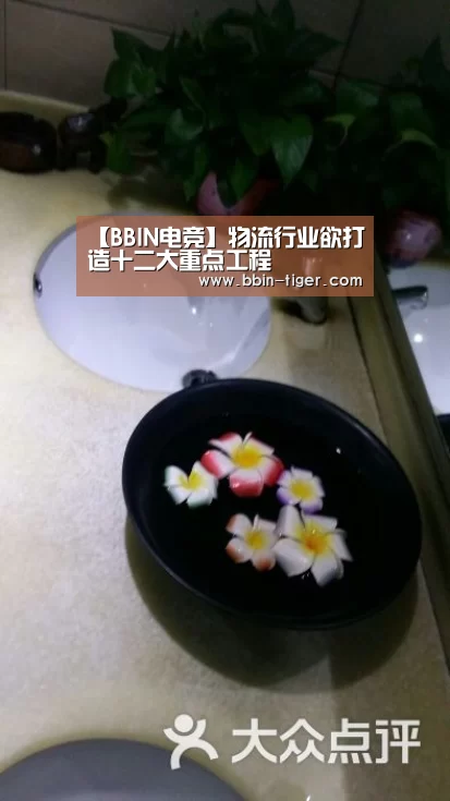 【BBIN电竞】物流行业欲打造十二大重点工程(图1) BBIN体育