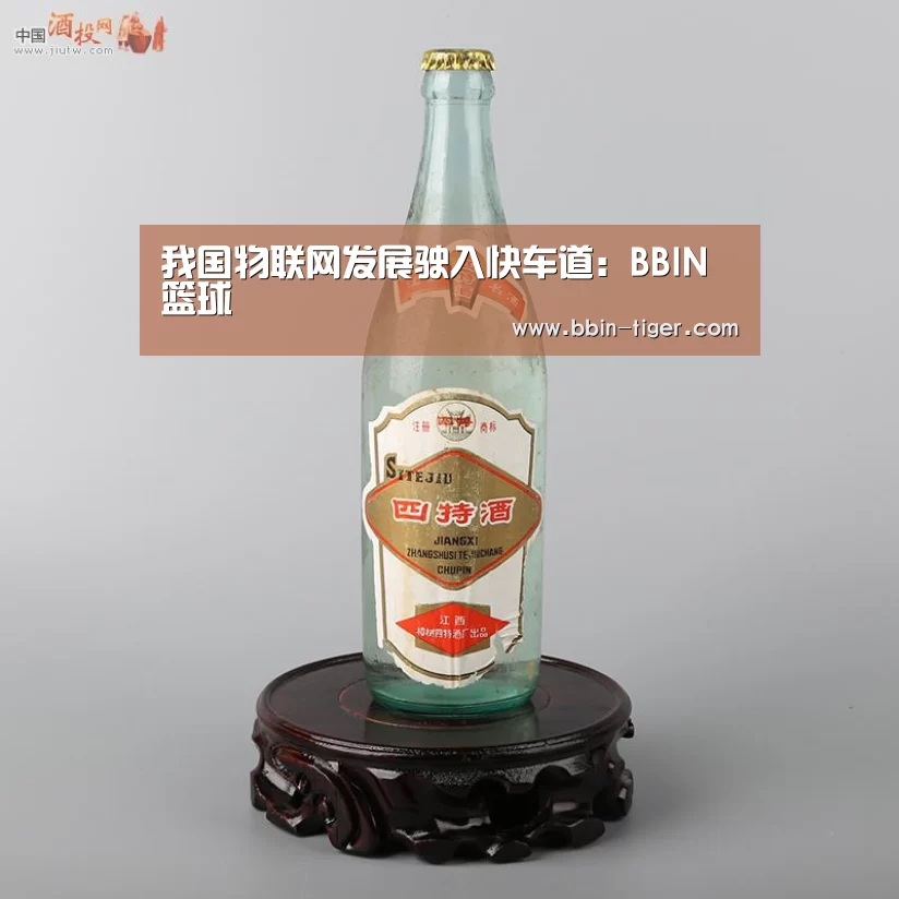 我国物联网发展驶入快车道:BBIN篮球(图4) BBIN体育